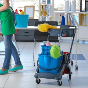 Domestic & Personal Care Services